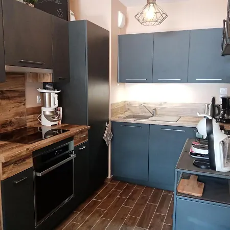 Apartment : Cosy 6 Personnes Avec Parking Et Wifi - Fr-1-198-215 *